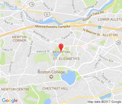 logo-image - brighton-ma